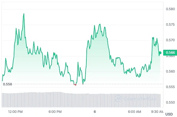 XRP多头蓄势待发：这次能突破关键阻力位吗？